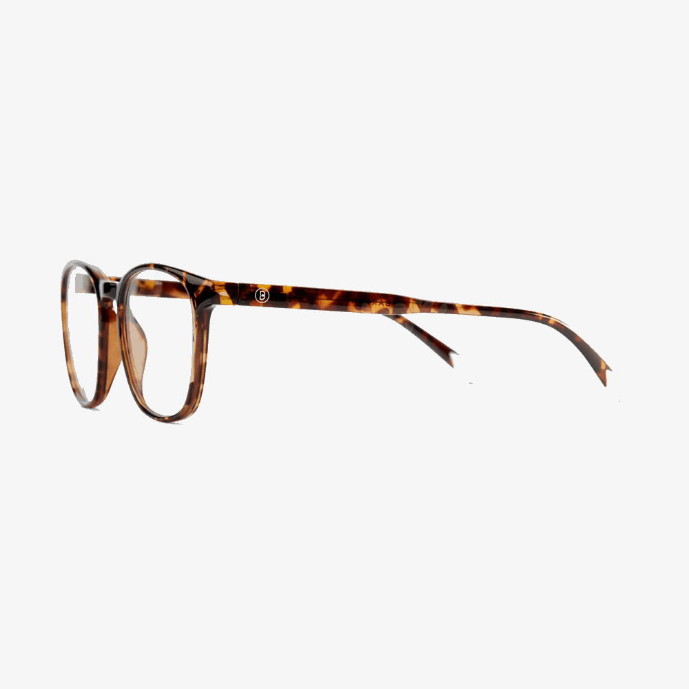BARNER PRESBYOPIAN GLASSES DGT 1,5 DALSTON GLOSSY TORTOISE (+1.5) READING 56687