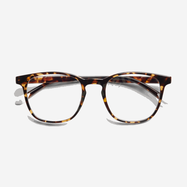 BARNER PRESBYOPIAN GLASSES DGT 2 DALSTON GLOSSY TORTOISE (+2.0) READING 56688