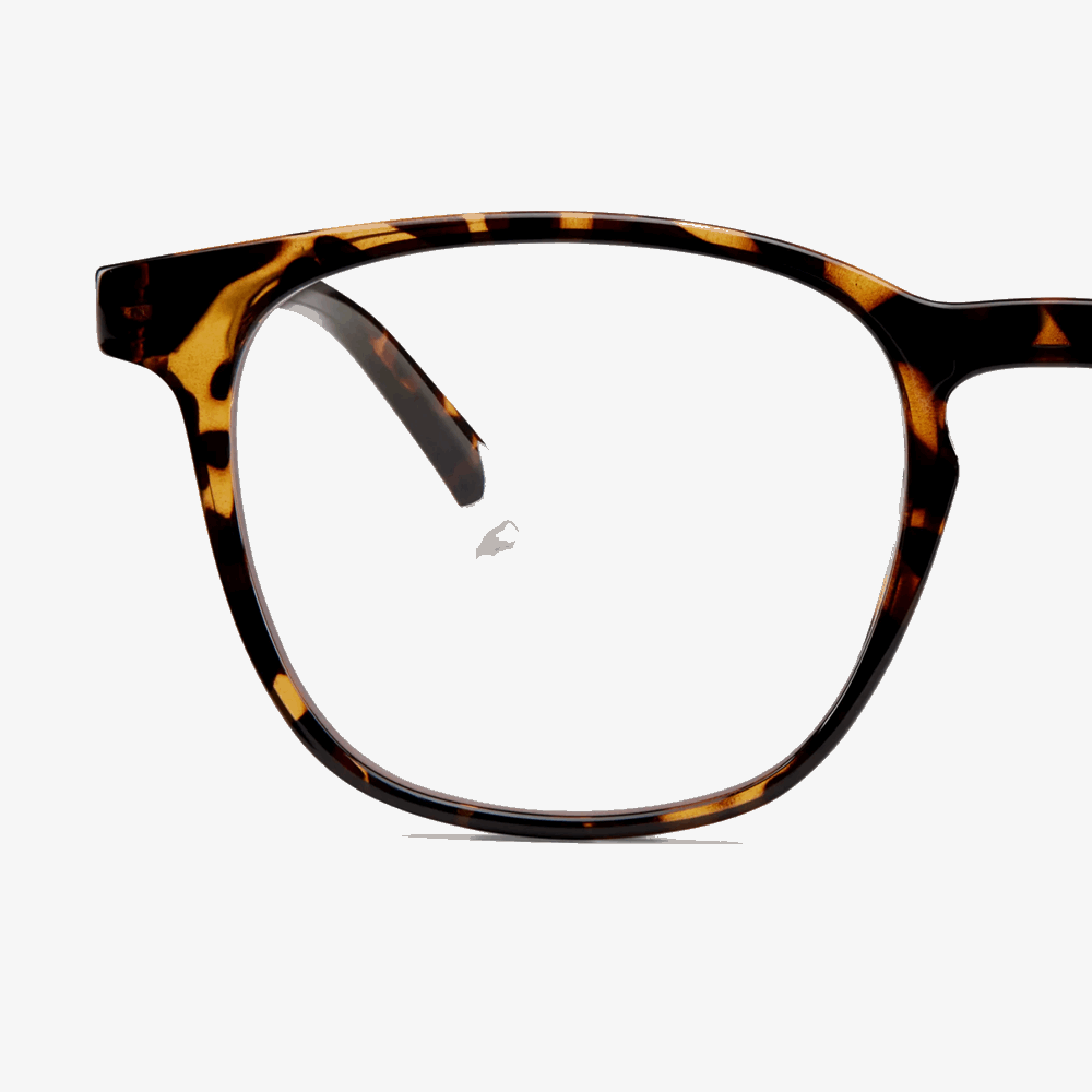 BARNER PRESBYOPIAN GLASSES DGT 2 DALSTON GLOSSY TORTOISE (+2.0) READING 56688
