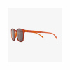 BARNER SUN GLASSES DGIR-S DALSTON GLOSSY INTENSE RUST 56669