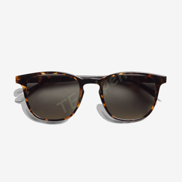 BARNER SUN GLASSES DGT-S DALSTON GLOSSY TORTOISE 56691