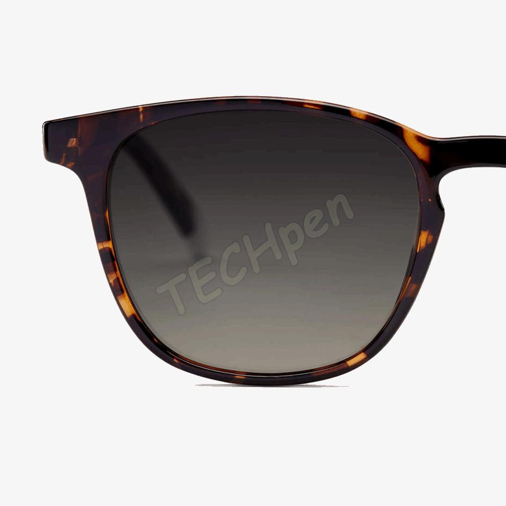 BARNER SUN GLASSES DGT-S DALSTON GLOSSY TORTOISE 56691