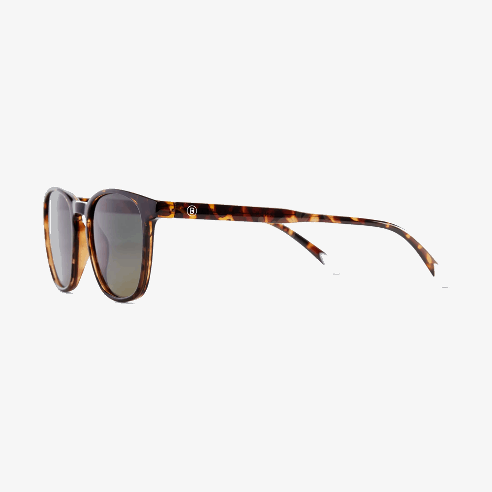 BARNER SUN GLASSES DGT-S DALSTON GLOSSY TORTOISE 56691