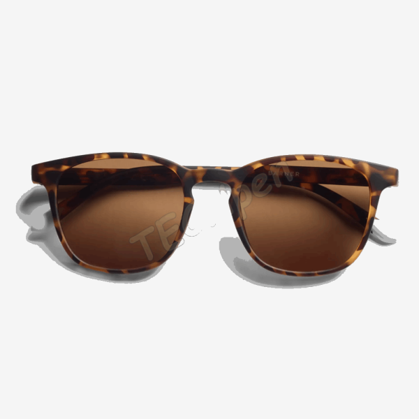 BARNER SUN GLASSES DT-S DALSTON TORTOISE 49378