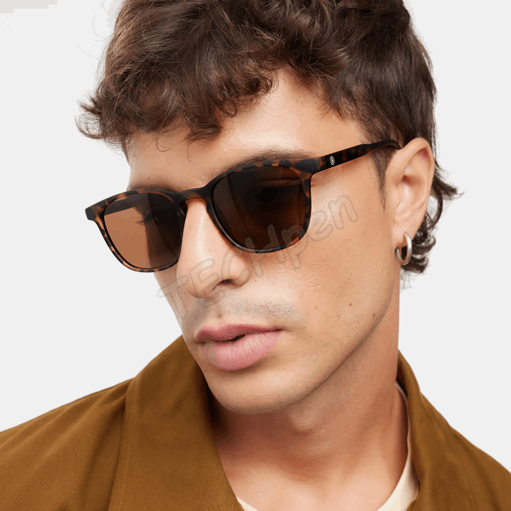 BARNER SUN GLASSES DT-S DALSTON TORTOISE 49378