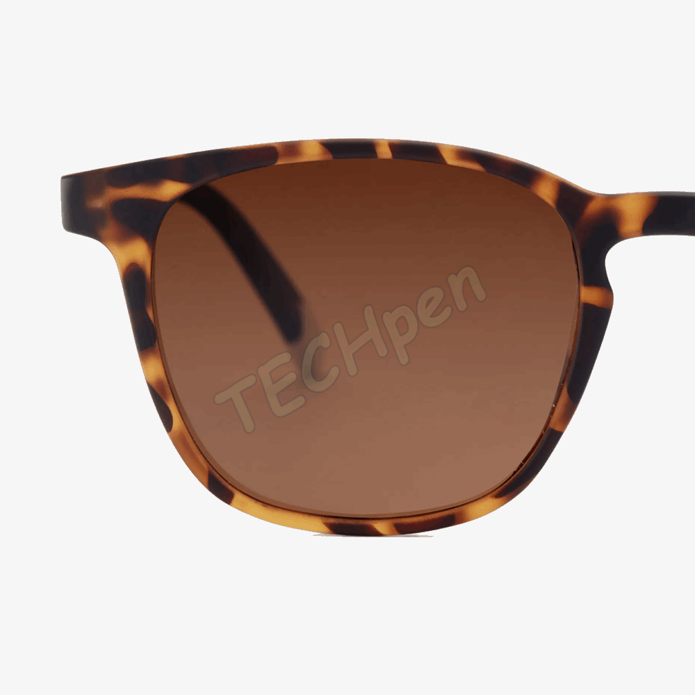 BARNER SUN GLASSES DT-S DALSTON TORTOISE 49378
