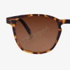 BARNER SUN GLASSES DT-S DALSTON TORTOISE 49378