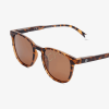 BARNER SUN GLASSES DT-S DALSTON TORTOISE 49378