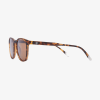 BARNER SUN GLASSES DT-S DALSTON TORTOISE 49378