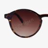 BARNER SUN GLASSES MGT-S LE MARAIS GLOSSY TORTOISE 56698
