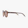 BARNER SUN GLASSES MT-S LE MARAIS TORTOISE 49217