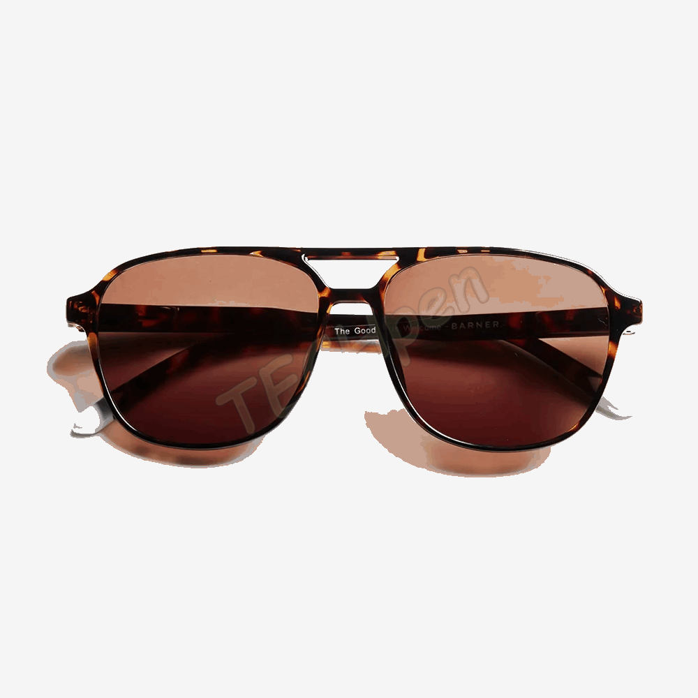 BARNER SUN GLASSES TRBRGT-S BRAD - GLOSSY TORTOISE COCOA BROWN 56500