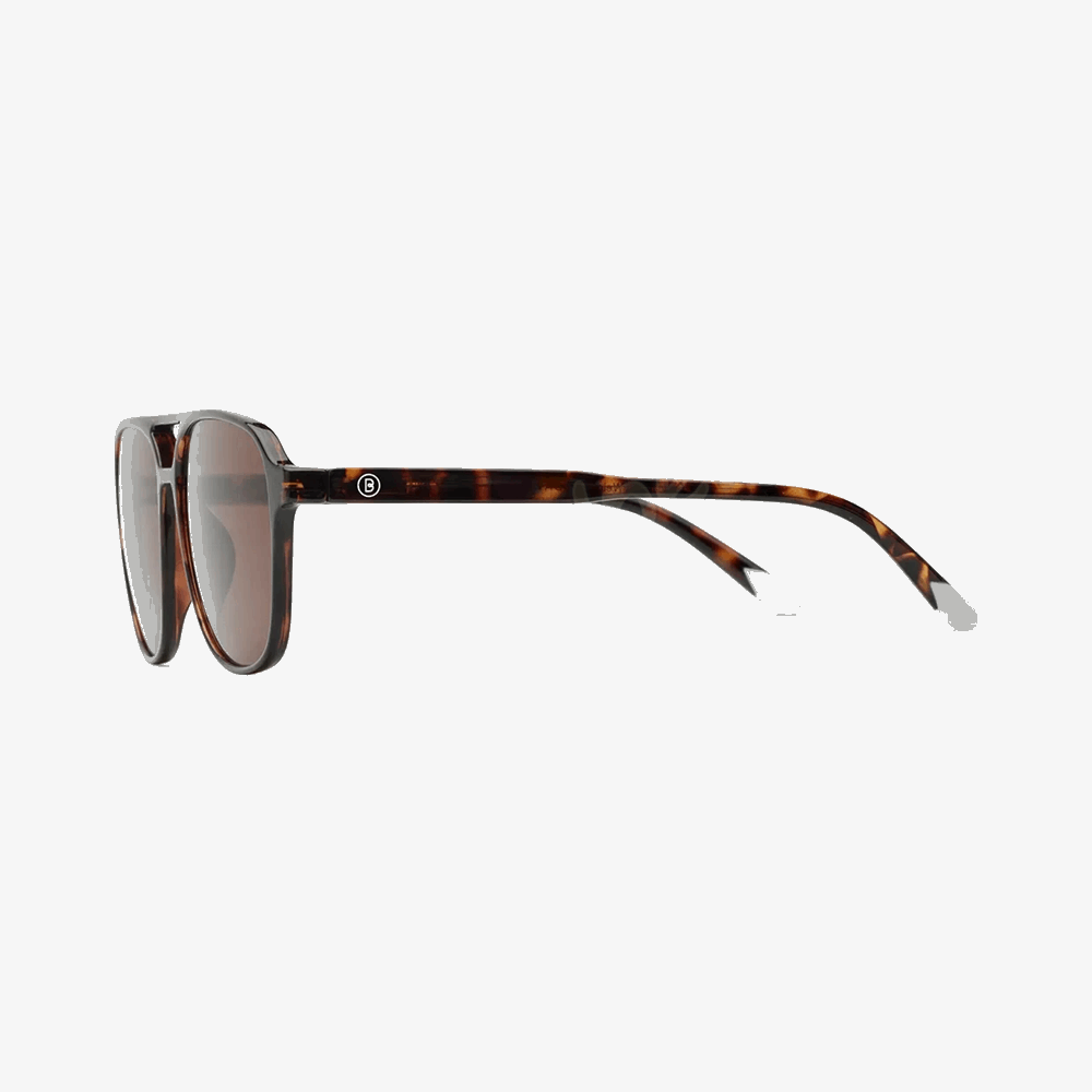 BARNER SUN GLASSES TRBRGT-S BRAD - GLOSSY TORTOISE COCOA BROWN 56500