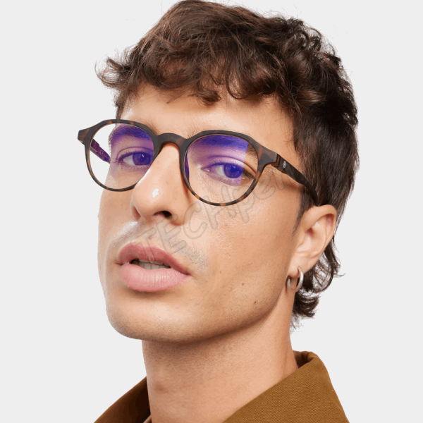 BARNER PRESBYOPIAN GLASSES CT-R+1,5 CHAMBERI TORTOISE READING