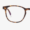 BARNER PRESBYOPIAN GLASSES DT-R+2 DALSTON TORTOISE READING