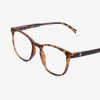 BARNER PRESBYOPIAN GLASSES DT-R+2 DALSTON TORTOISE READING