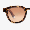BARNER SUN GLASSES ANT-SA ANDY CAPSULE TORTOISE GL SUN