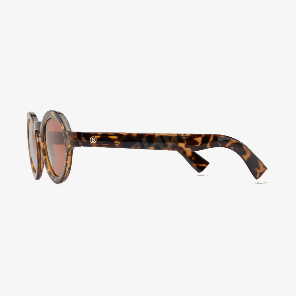 BARNER SUN GLASSES CHAT-SA CHARLES CAPSULE TORTOISE GL SUN