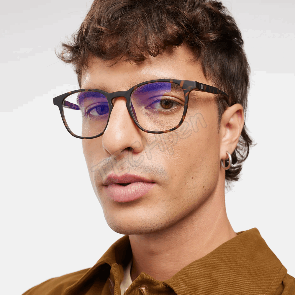 BARNER PRESBYOPIAN GLASSES DT-R 1 DALSTON TORTOISE (+1) READING
