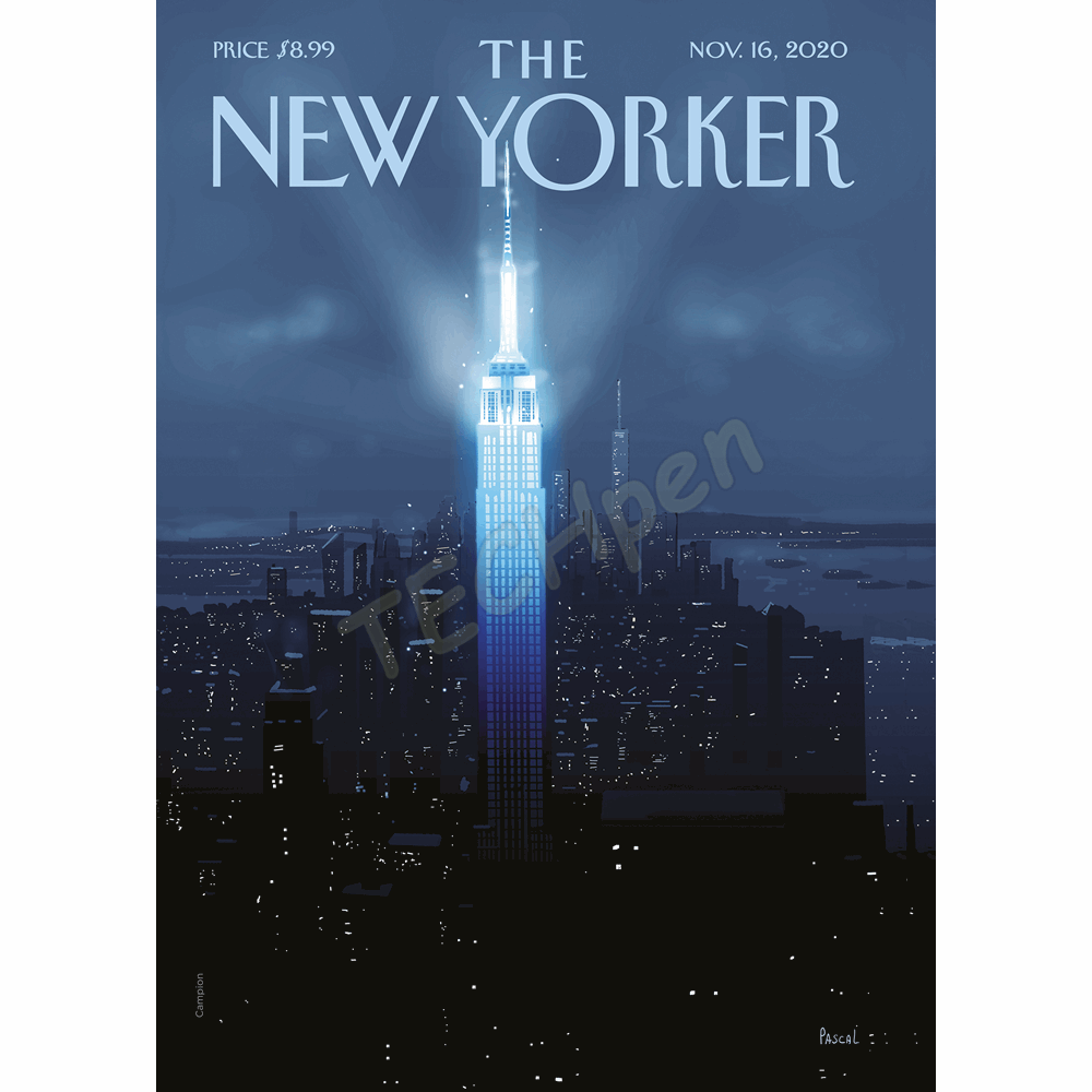 IMAGE REBUBLIC 01THEN220CA 30x40 cm THE NEWYORKER 220 CAMPION NOVEMBER 16 2020 TNY-2020-11