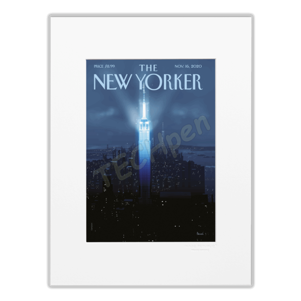 IMAGE REBUBLIC 01THEN220CA 30x40 cm THE NEWYORKER 220 CAMPION NOVEMBER 16 2020 TNY-2020-11