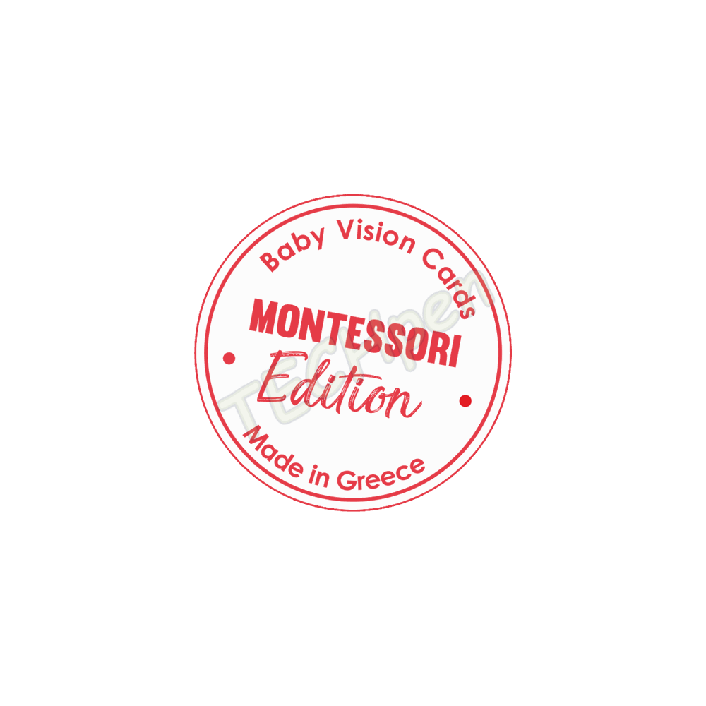 LEARNING CUBE - MONTESSORI BABY ΚΑΡΤΕΣ ΑΝΤΙΘΕΣΗΣ (3 χρώματα) 6-12m 097