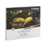 LYRA ΞΥΛΟΜΠΟΓΙΕΣ REMBRANDT AQUARELL HI QUALITY ΣΕΤ 24τμχ ΣΕ ΜΕΤΑΛΛΙΚΗ ΚΑΣΕΤΙΝΑ NATURAL COLORS 002011240